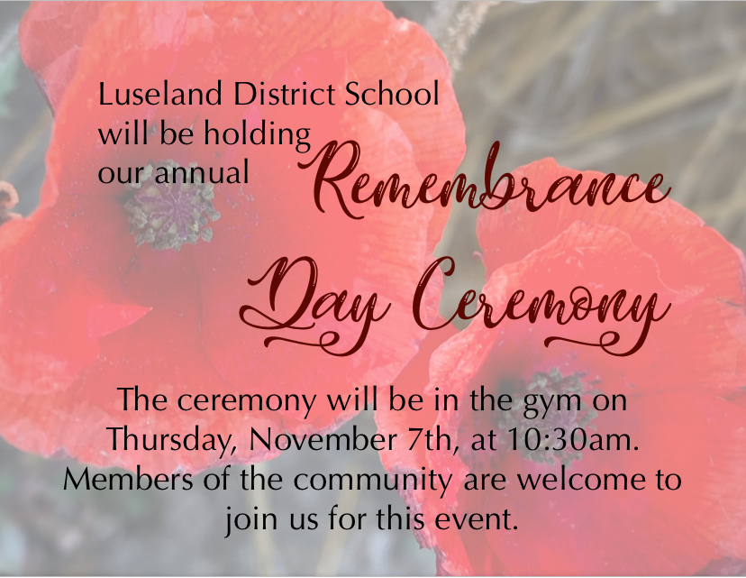 remembrance day article