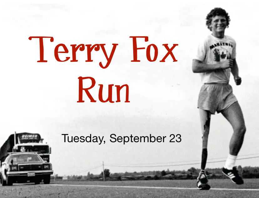 terry fox run article