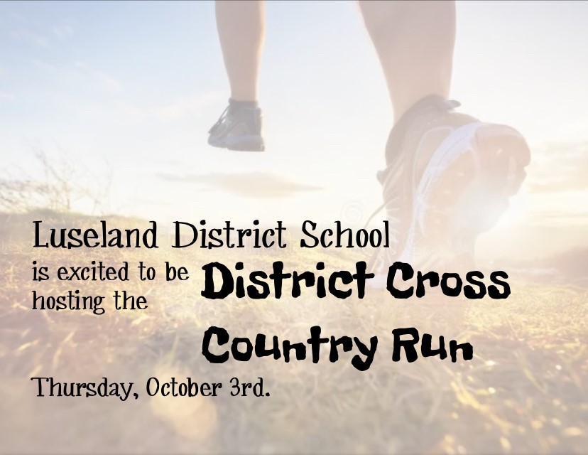 district cross country article
