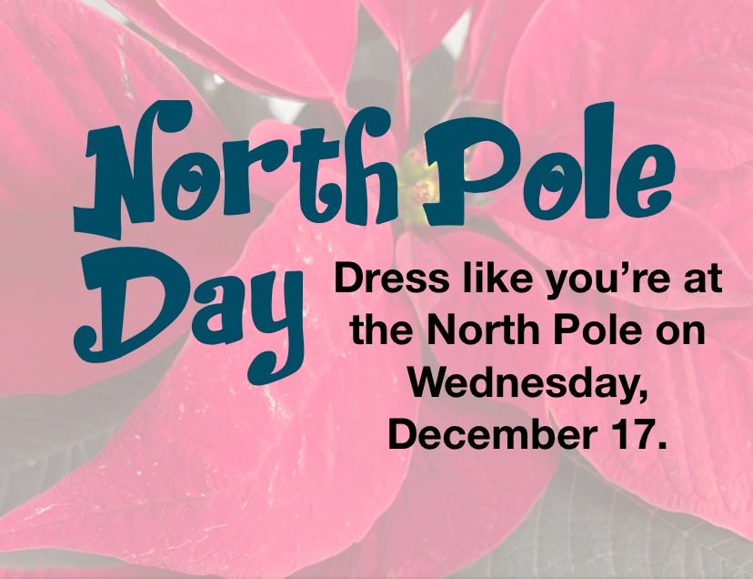 north pole day