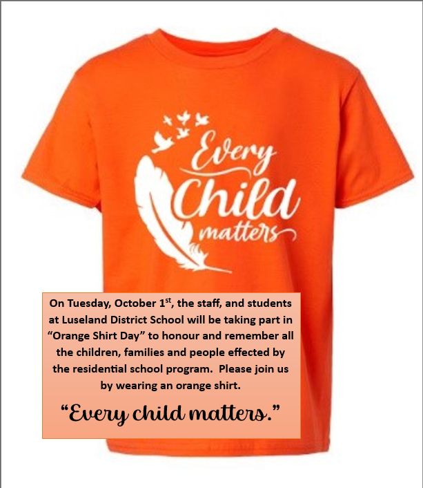 orange shirt article