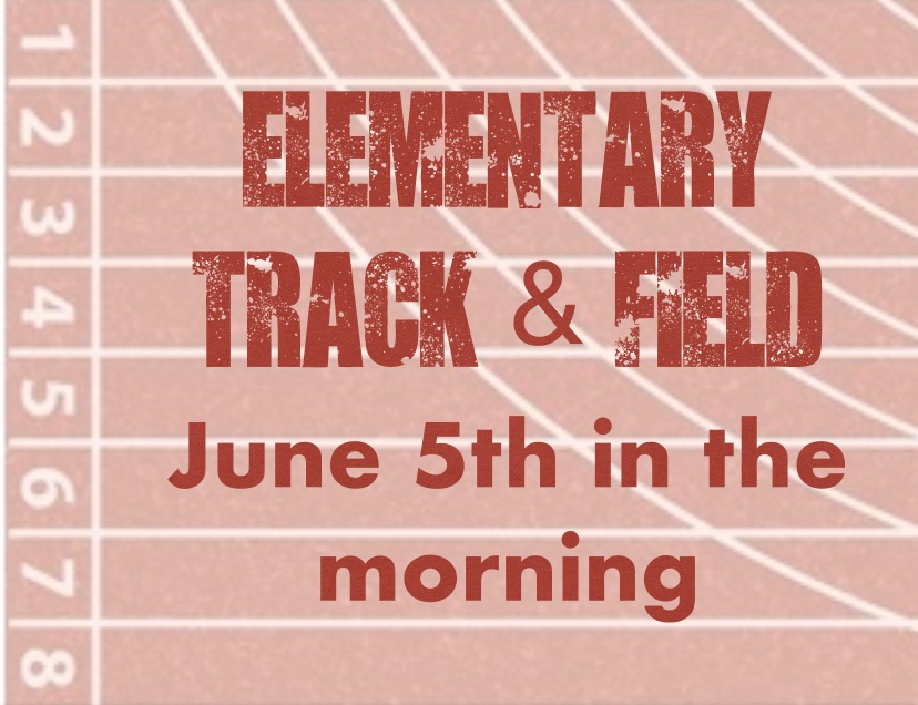 original DE96D3C3 1641 4929 BB72 265DB0AD7D8D